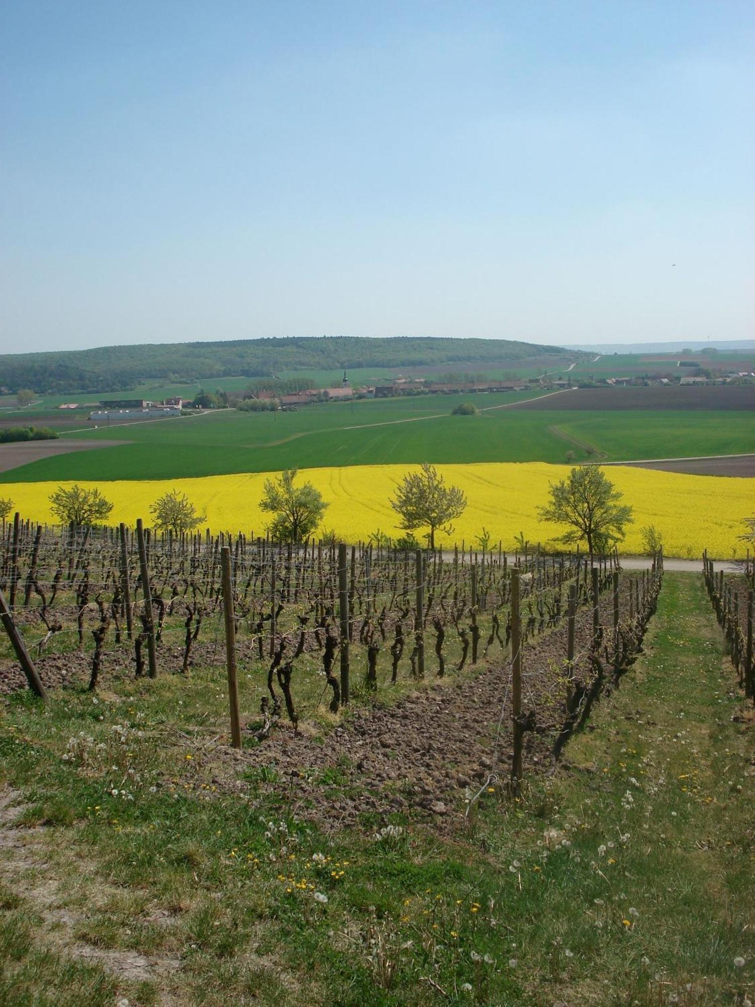 Landgasthof Zum Schwarzen Adler Markt Nordheim Buitenkant foto
