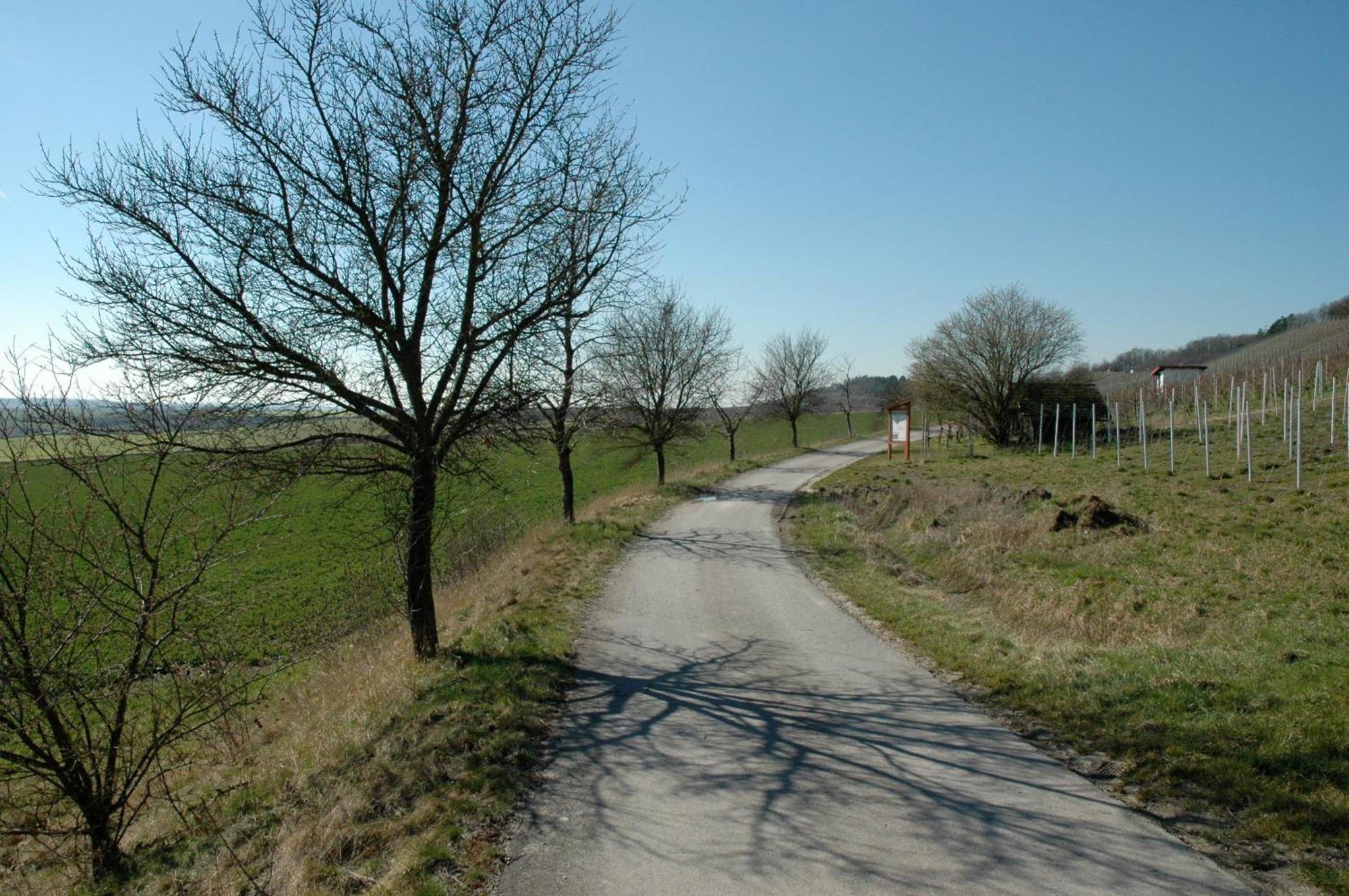Landgasthof Zum Schwarzen Adler Markt Nordheim Buitenkant foto