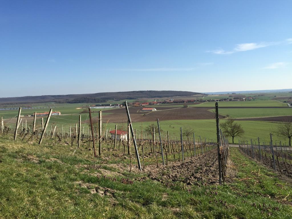 Landgasthof Zum Schwarzen Adler Markt Nordheim Buitenkant foto